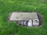 image of grave number 891769